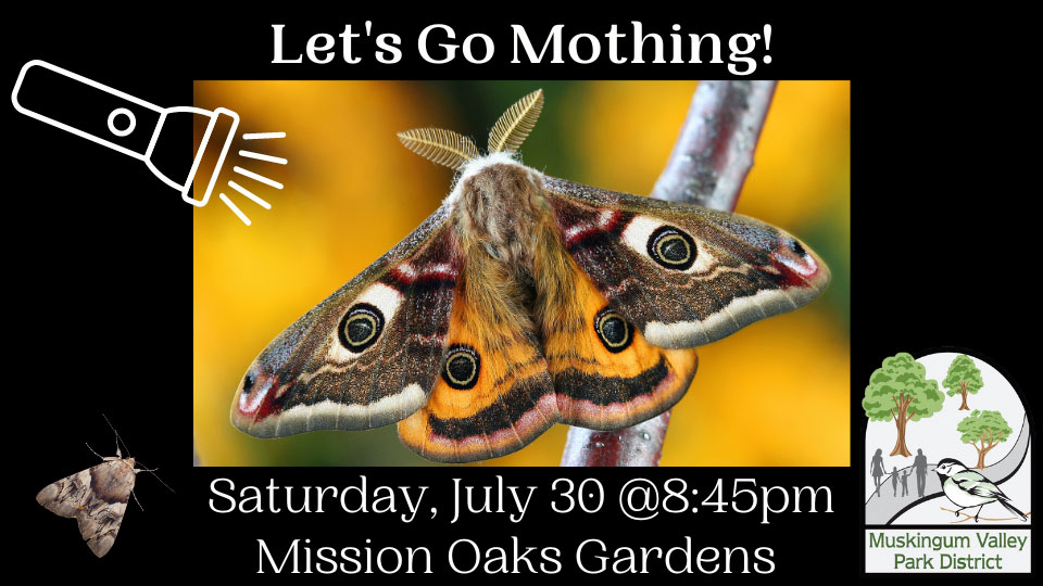 The Muskingum Valley Park District - Let's Go Mothing!